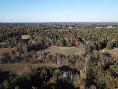 000 Greene Road 788, Paragould, AR 72450 - photo 5