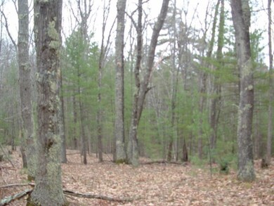 Dexter Rd. 14