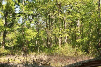 212 Sam Smith Cir, Crawfordville, FL 32327 - photo 6