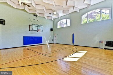 Cameron Square unit 340, Alexandria, VA 22304 - photo 5