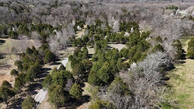 406A Harsh Ln, Castalian Springs, TN 37031 - photo 3