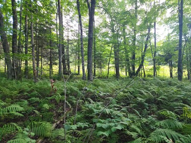 ON East Ln, Crandon, WI 54520 - photo 7