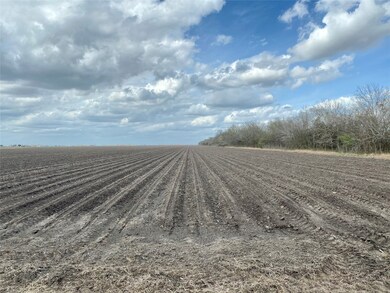 0 Herman Sulak Rd unit 70581902, East Bernard, TX 77435 - photo 3