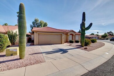Desert Landscape