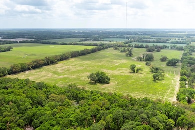 Tree Lined Community