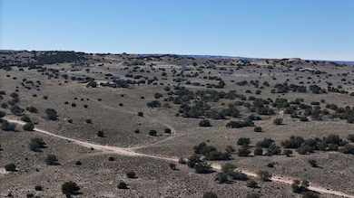 Apache unit AZ, Saint Johns, AZ 86512 - photo 7