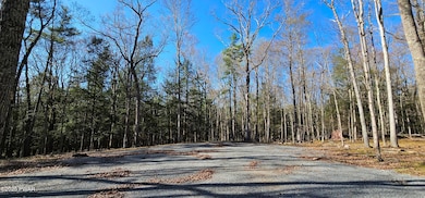 Lot 85 Perry Pond Rd, Tusten, NY 12764 - photo 3