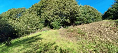 Cleared Grassy Slope