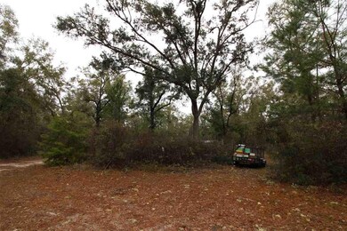 141 Isle of Paradise Rd, Crawfordville, FL 32327 - photo 7