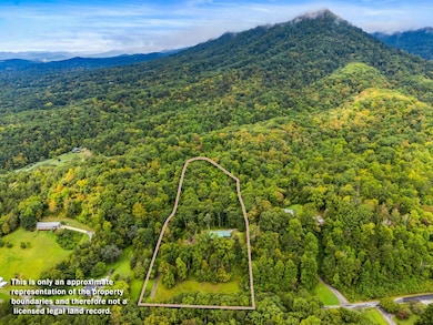 197 Devils Nose Rd, Rogersville, TN 37857 - photo 4