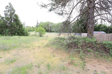 2720 Merlin Rd, Grants Pass, OR 97526 - photo 5