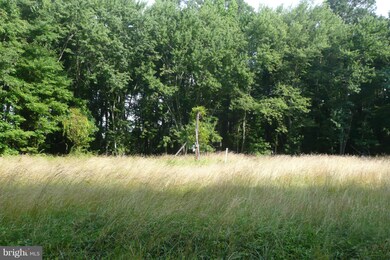 28896 Sanderstown Rd, Trappe, MD 21673 - photo 4