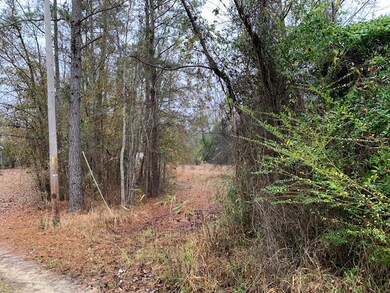 1060 Hideout Dr, Manning, SC 29102 - photo 2