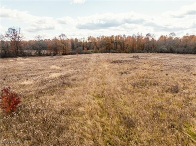 0 Cooper Rd unit 5176687, Lowellville, OH 44436 - photo 2