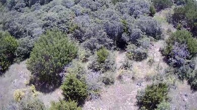 TBD Oak Ridge Estate, Springtown, TX 16082 - photo 6