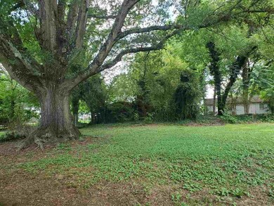 414 W 4th St, Siler City, NC 27344 - photo 5