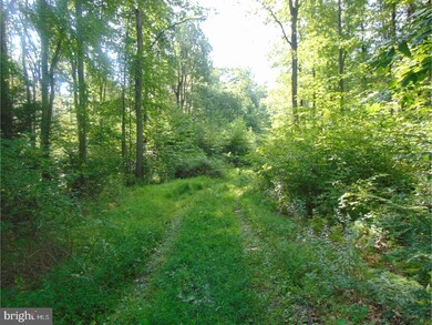 0 Indian Run Rd unit 1001243297, New Ringgold, PA 17960 - photo 2