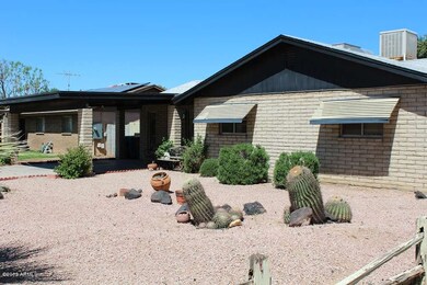 Front Yard 3