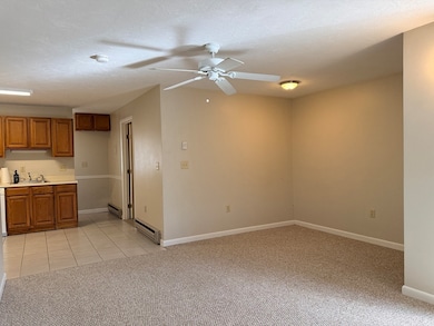 19 Maple Ave unit 3, Shrewsbury, MA 01545 - photo 3