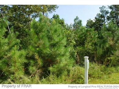 222 Broadlake (639) Ln, Spring Lake, NC 28390 - photo 4