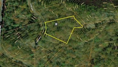 Lot 105 Bear River Lodge Trail, Marshall, NC 28753 - photo 3