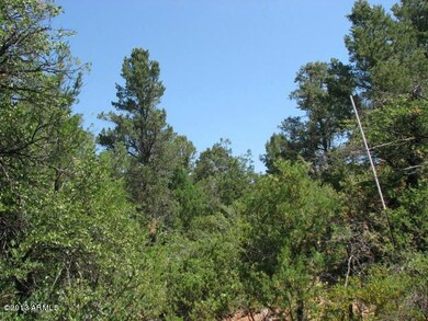 Tall Pines