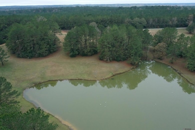 Lot 4-B-1 Louisiana 421, Saint Francisvle, LA 70775 - photo 6