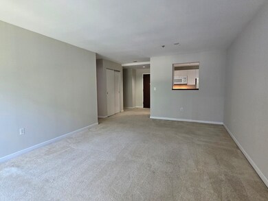 950 Mass Ave unit 402, Cambridge, MA 02139 - photo 2
