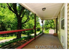 102 Hayes Cove Rd, Leicester, NC 28748 - photo 3