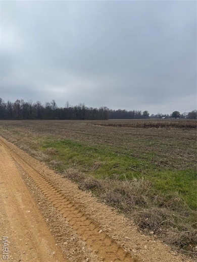 00 County Road 659, Dexter, MO 63841 - photo 4