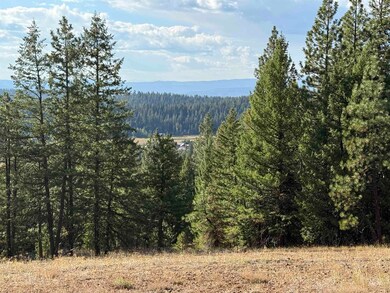 View of mountain backdrop with a forest