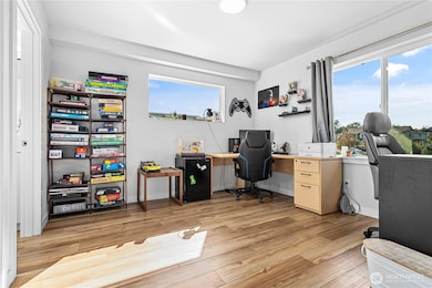 Lower level bedroom/office.