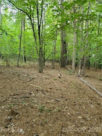 Lot #42 Cornett Dr unit 42, Iron Station, NC 28080 - photo 3