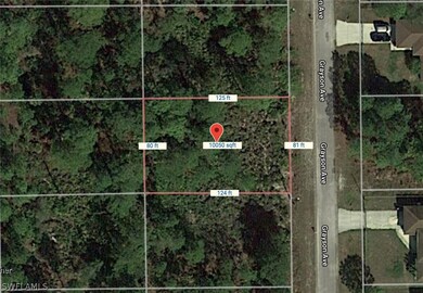 2011 Grayson Ave, Alva, FL 33920 - photo 6