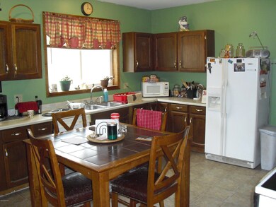 154 W Foss Ave, White Cloud, MI 49349 - photo 4