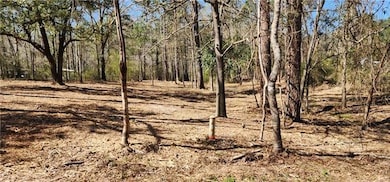 Lot 102 Bleu Lake Dr, Covington, LA 70435 - photo 2