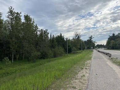 000 W M-72 Hwy, Grayling, MI 49738 - photo 5