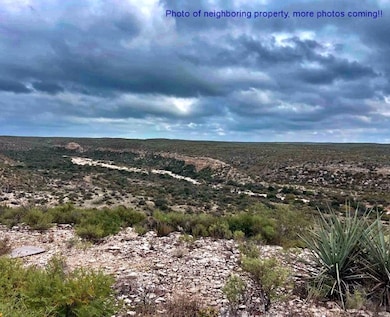 Tract 15-O Indian Creek Ranch, Dryden, TX 78851 - photo 3