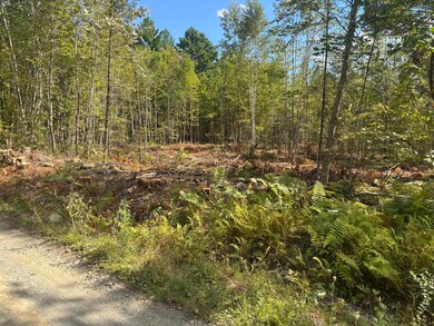 M10/18-7 Brown Rd, Mercer, ME 04957 - photo 4