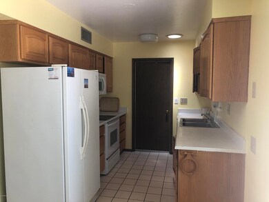 17041 N 106th Ave, Sun City, AZ 85373 - photo 6