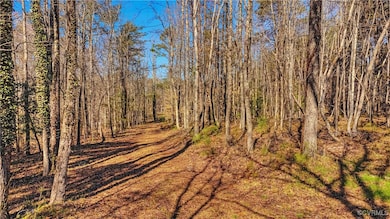 View of local wilderness featuring a wooded view