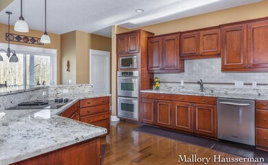 13259 Burroughs St NE, Lowell, MI 49331 - photo 6