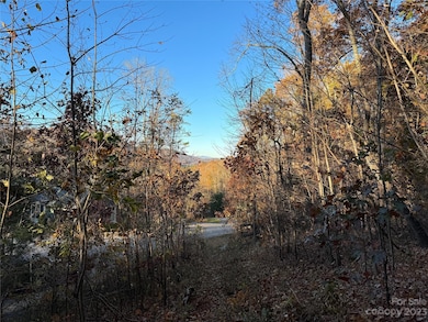 10 Clear Fork Ln unit 530, Fairview, NC 28730 - photo 3