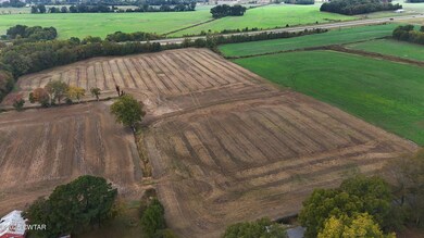 2 Cooke Rd, Alamo, TN 38001 - photo 2