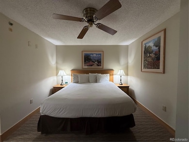 6 Emmons Rd unit 379/381, Crested Butte, CO 81225 - photo 3