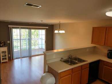 362 Cascade Ln, Oswego, IL 60543 - photo 4