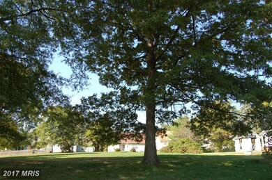 7334 Summerwind Cir, Laurel, MD 20707 - photo 5