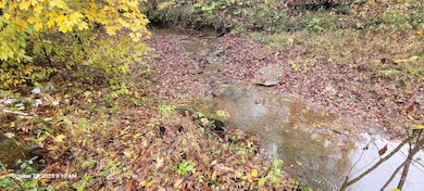 1121 Breeding Rd, Edmonton, KY 42129 - photo 4