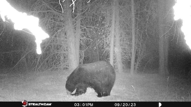 0 Nfd 440 Rd unit 220184517, Chiloquin, OR 97624 - photo 4