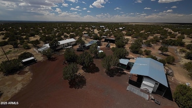 drone shot1 (002)